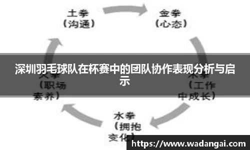 深圳羽毛球队在杯赛中的团队协作表现分析与启示